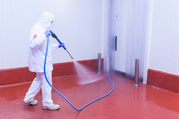 Best Driveway Pressure Washing  in Catonsville, MD